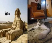 1000005462.webp 1000005462.webp